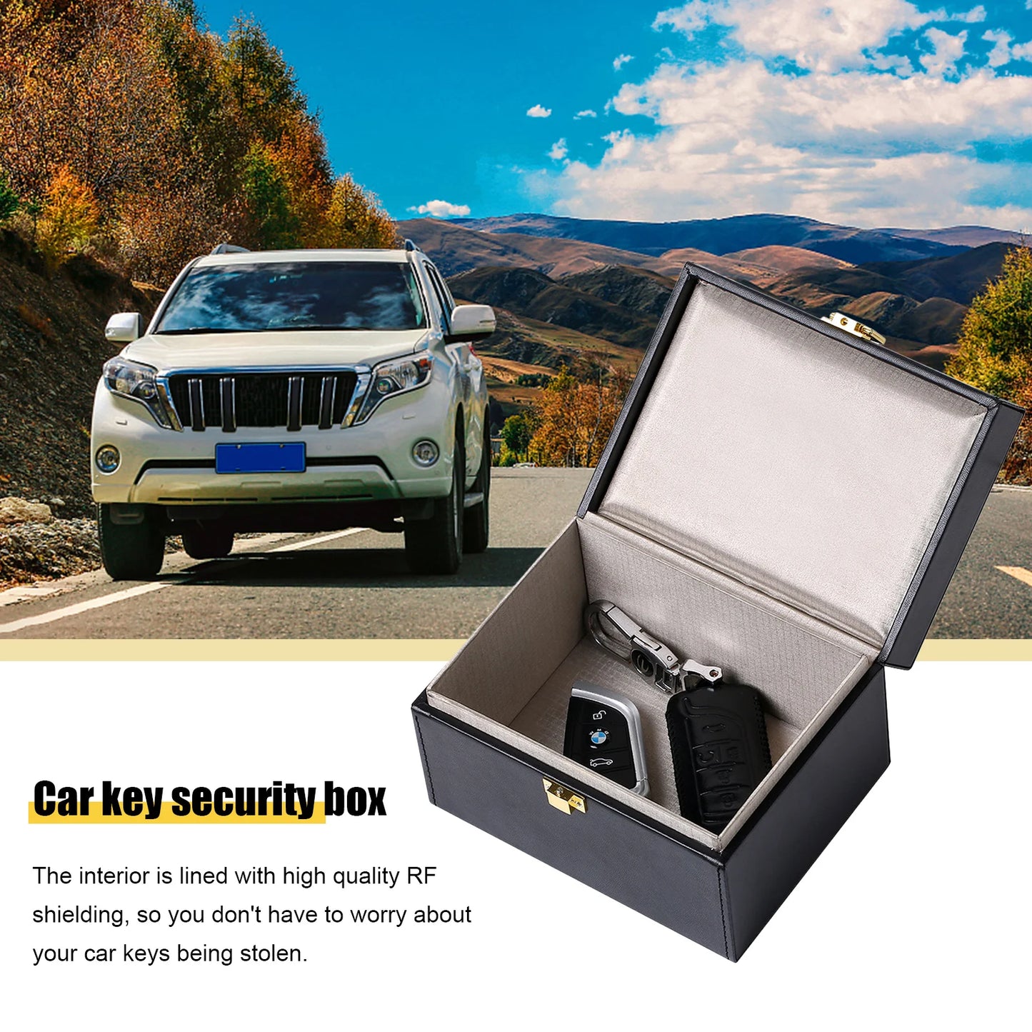 Anti Theft Faraday Box